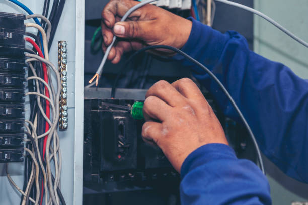 Best Ceiling Fan Installation Electrician  in Hohenwald, TN