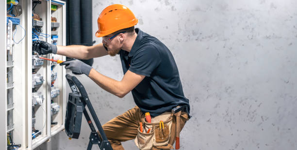 Best Electrical System Inspection  in Hohenwald, TN